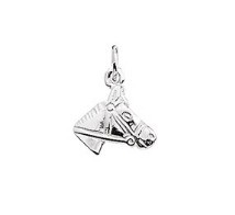 Zilveren paard hoofd hanger