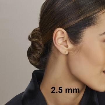 Gouden oorknoppen 2.5 mm bol