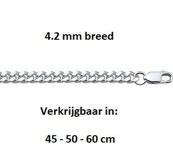 Zilveren halsketting 4.2 mm gourmet