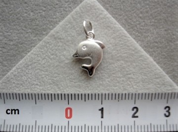 Zilveren dolfijntje hangertje / bedeltje
