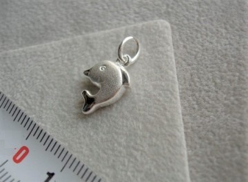 Zilveren dolfijntje hangertje / bedeltje