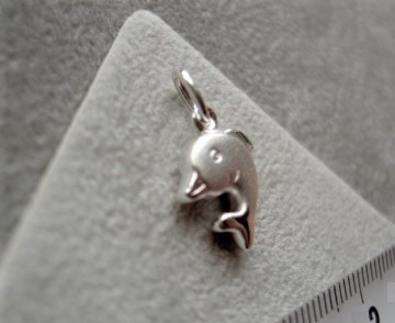 Zilveren dolfijntje hangertje / bedeltje