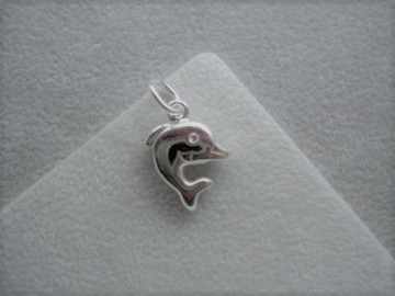 Zilveren dolfijntje hangertje / bedeltje