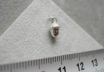 Zilveren eikeltje bedeltje