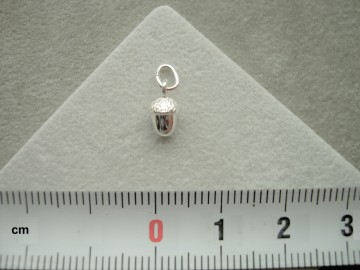 Zilveren eikeltje bedeltje