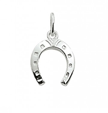 Zilveren hoefijzer hanger