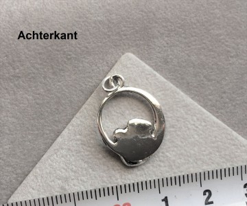 Zilveren foetus hanger zwanger / miskraam