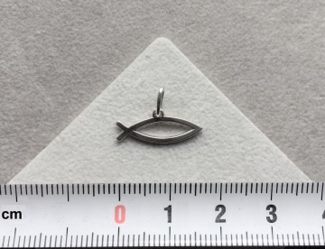 Zilveren ichthus hangertje