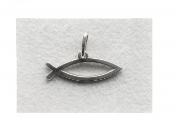 Zilveren ichthus hangertje