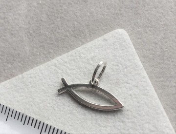 Zilveren ichthus hangertje