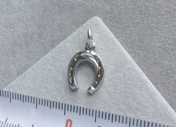 Zilveren hoefijzer hanger