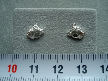 Zilveren oorbellen paard hoofd