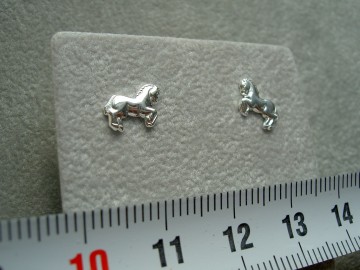 Zilveren oorbellen paard
