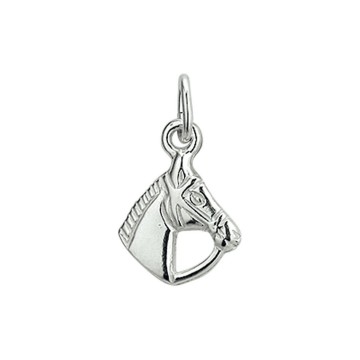 Zilveren paard hoofd hanger / bedeltje