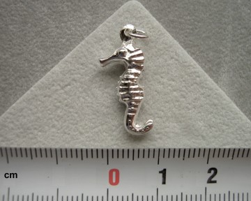 Zilveren zeepaardje (groot) hanger