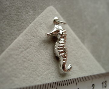 Zilveren zeepaardje (groot) hanger