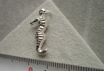 Zilveren zeepaardje (groot) hanger