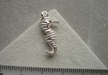 Zilveren zeepaardje (groot) hanger