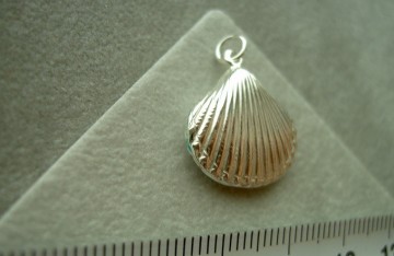 Zilveren hanger schelp