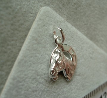 Zilveren paard in hoefijzer hanger