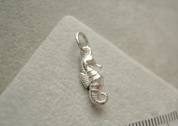 Zilveren zeepaardje hanger (13mm)