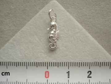 Zilveren zeepaardje hanger (13mm)