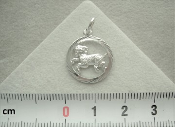 Zilveren Sterrenbeelden hanger