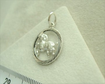 Zilveren Sterrenbeelden hanger