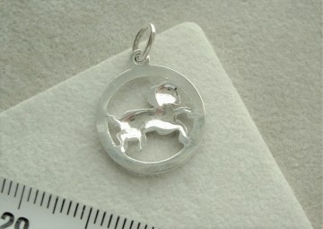 Zilveren Sterrenbeelden hanger