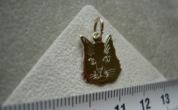 Zilveren kat / poes hanger