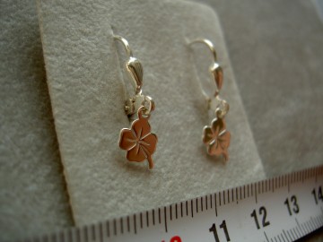 Zilveren oorhangertjes klavertjes