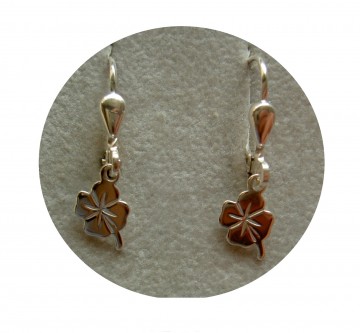 Zilveren oorhangertjes klavertjes