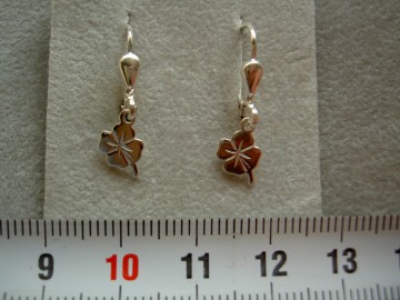 Zilveren oorhangertjes klavertjes