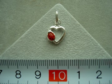 Zilveren lieveheersbeestje in hartje