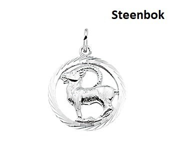 Zilveren Sterrenbeeld Steenbok hanger