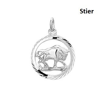 Zilveren Sterrenbeeld Stier hanger