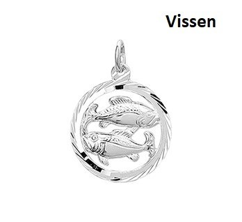 Zilveren Sterrenbeeld Vissen hanger