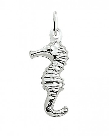 Zilveren zeepaardje (groot) hanger