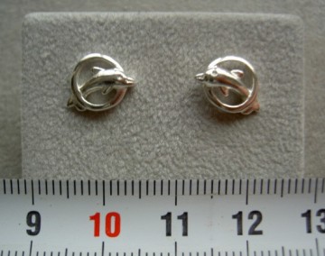 Zilveren oorbellen Dolfijn in ring