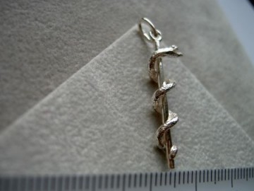 Zilveren esculaap hanger