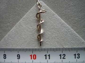 Zilveren esculaap hanger