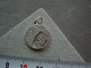 Zilveren foetus hanger