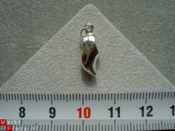 Zilveren houten klomp zilver