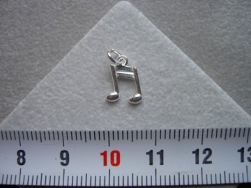 Zilveren muzieknoot hangertje