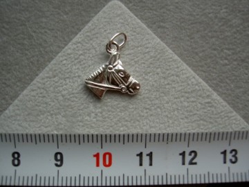 Zilveren paard hoofd hanger